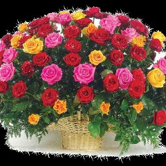 Багила Тайгараевна, 11.02.1989, Тараз