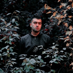 Тогрул Гаджиев, 04.08, Баку