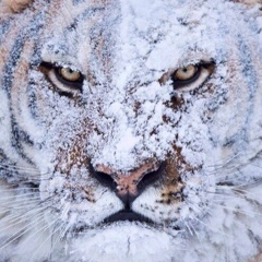 Артем Савчук, 11.02