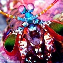 Галина Суховеева, 31.05