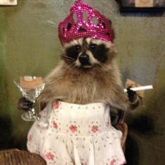 Яна Динушева, 26.05.1981, Белгород