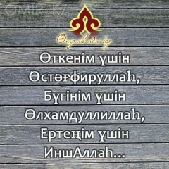 Айко Шеркеш