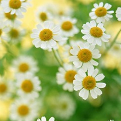 Ксения Тихонова, 22.07