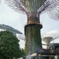 Максим Смирнов, 02.12, Санкт-Петербург