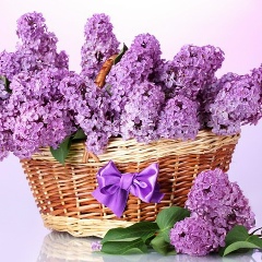 Анастасия Тишкина, 04.11.1988, Москва