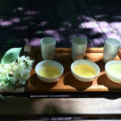 Света Казина, 19.06.1976, Москва