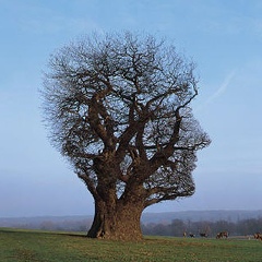 Kirill Vovchuk, 22.01, Москва