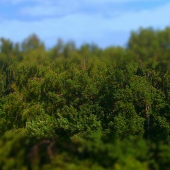 Павел Филиппов, 25.09, Москва