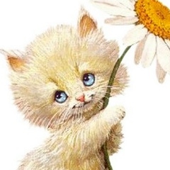 Аделья Мамедова, Баку