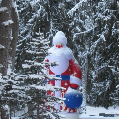 Светлана Соколова, 31.01.1963, Санкт-Петербург