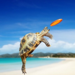 Ольга Малышкина, Москва