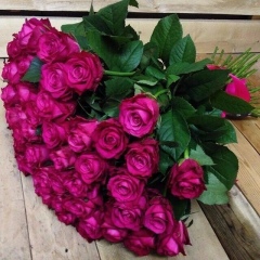 Гулайым Естемесова, 01.07.1989, Алматы