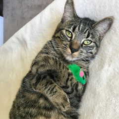 Elena Skrypnyk, 05.06, San Francisco