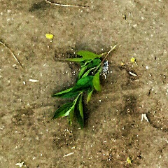 Алексей Иванов, 05.03.1992, Москва