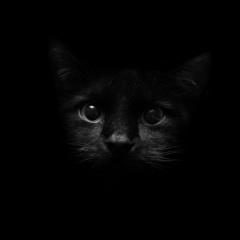 Сергей Бойченко, 29.03.1987, Киев