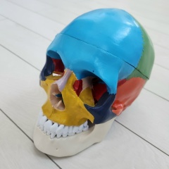 Тело И Баланс, Казань