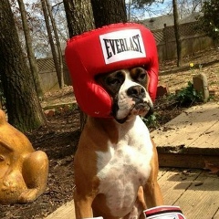 Кайрат Айгужин, 24.10, Уральск