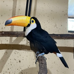 Ирина Герасимова, Москва