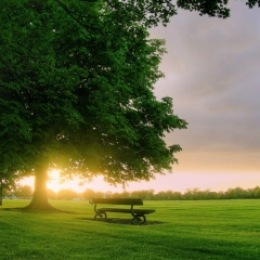 Карлыгаш Хайруллаева, 14.01, Алматы