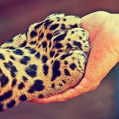 Макс Проданюк, 24.09.1997, Тернополь