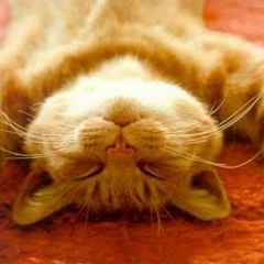 Павел Сергеевич, 07.05.1988, Санкт-Петербург