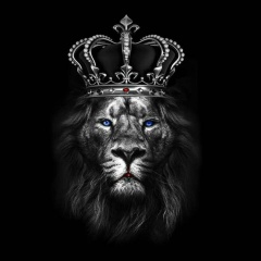 Джавид Набизаде, 18.08.1992, Москва