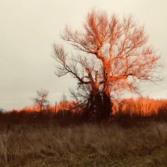 Татьяна Гогина, 09.07, Москва