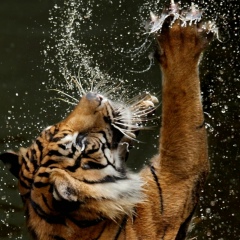 Дима Борисенко, 14.05.1986, Черкассы