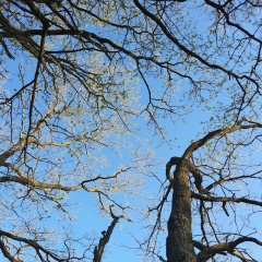 Виктория Клепикова, 14.02, Москва