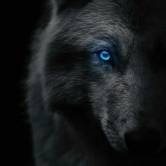 Magomed Askhadov, 06.09, Подольск