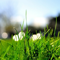 Сергей Петров, 01.01.1981, Чебоксары