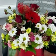 Светлана Наливкина, 04.08.1978, Подольск