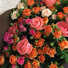 Ботакоз Саттари, 23.07.1991, Караганда