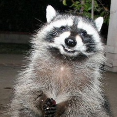 Мария Ляпина, 26.11, Москва