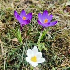 Светка Прохорова, 18.11.1986, Москва