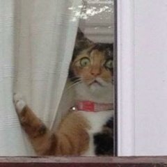 Анна Ромка, 27.07.1992, Москва