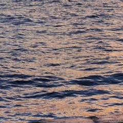 Алина Герасименко, 10.10, Херсон