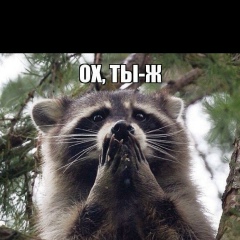 Сергей Сергей, 17.05.1989, Кимры