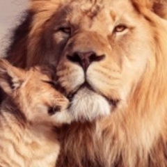 Рушан Галявиев, 02.09, Казань