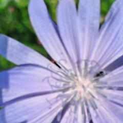 Сергей Бойков, 28.10.1975, Апатиты