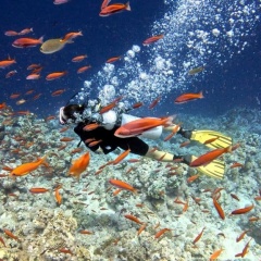 Евгения Мокеева, 31.08, Мурманск