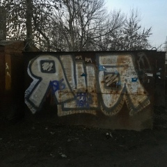 Яков Шпиц, 09.06, Москва