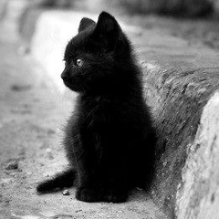 Елена Барвенко, 12.11, Харьков