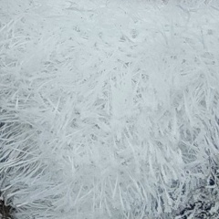 Ирина Мулярчук, 03.01.1917, Санкт-Петербург