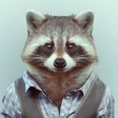 Вася Иванов, 23.07.1997