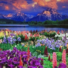 Kunya Kunya, 11.10.1989, Алматы