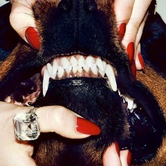 Марина Довженко, 27.05, Киев