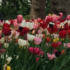 Ирина Ворфоломеева, 14.01.1921, Донецк