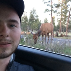 Андрей Николаевич, 12.02, Москва