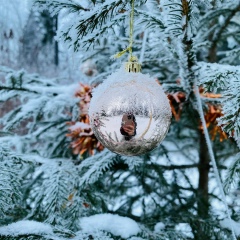 Валентина Тугарина, 21.05, Санкт-Петербург